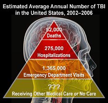 Frequency, Severity and Cost of Brain Injuries Demand Increased Awareness