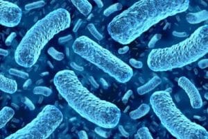 Orange county listeria lawyer